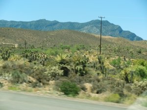 175-3.jpg