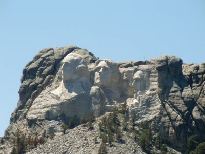 229.jpg