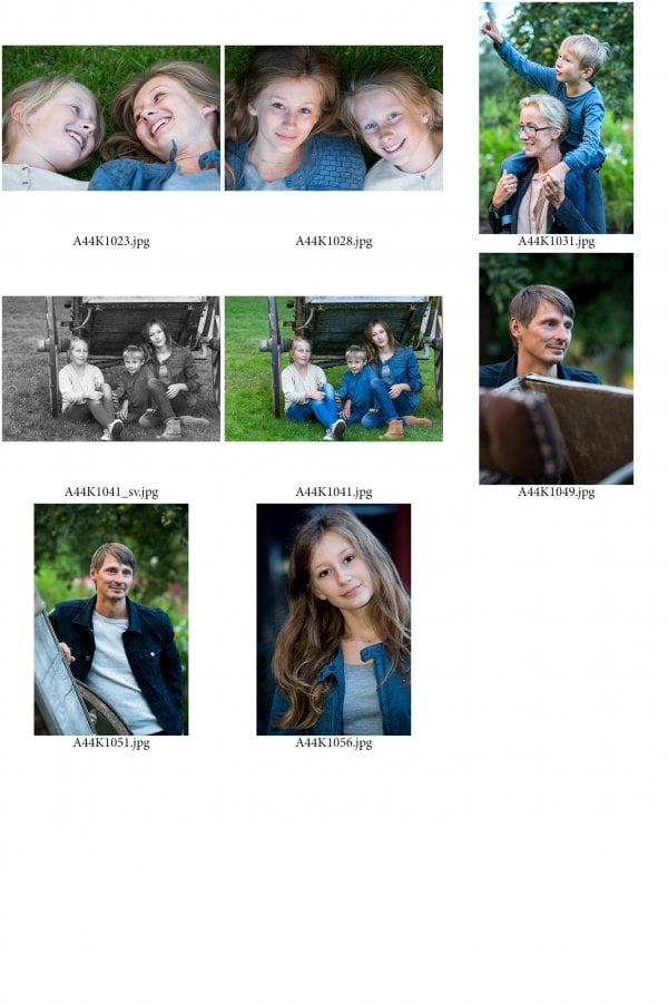 /familjen-hedlund-ark-6.jpg