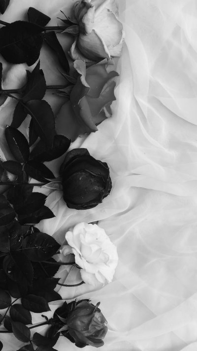 /black-and-white-roses.jpg