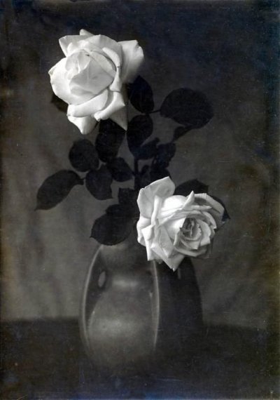 /white-roses-in-ceramic-vase-still-life-black-and-white-vintage-photo-print.jpg