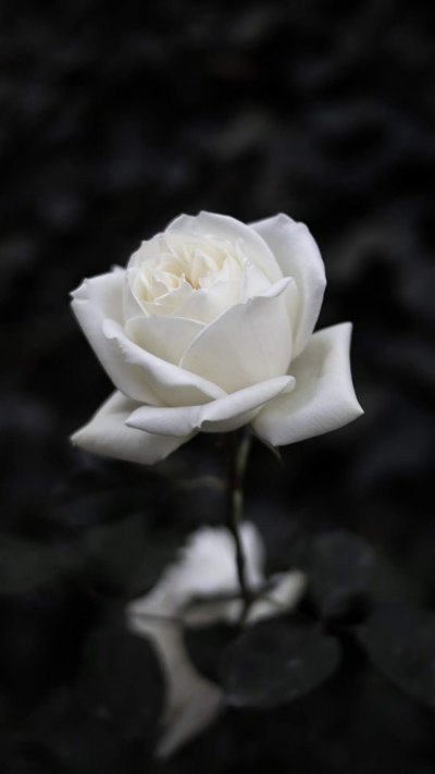 /f03b48cb-6c10-4873-8f4b-9003bb25784a.jpg