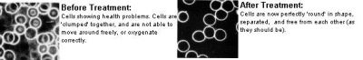 cells-before-after.jpg