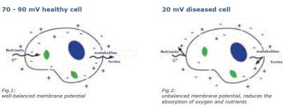 healthy-deseased-cell.jpg