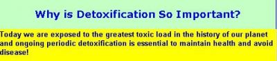 why-detox-important.jpg