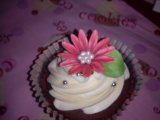 brown and white chocolate cupcake