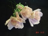 roses flowerpaste