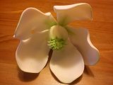 hand made magnolia