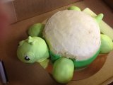 to be a turtle cake