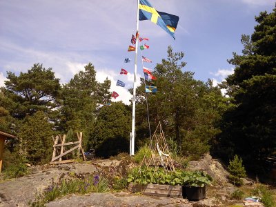 p300611-1323-01.jpg