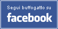 Segui Buffogatto su Facebook