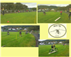 Sykkelskolen-Collage_03.10.2015.png