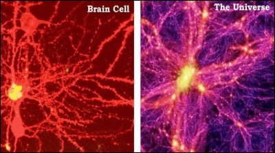 /brain-cell-vs-the-universe.jpg