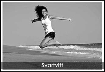 Canvastavla svartvit