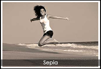 Canvastavla sepia