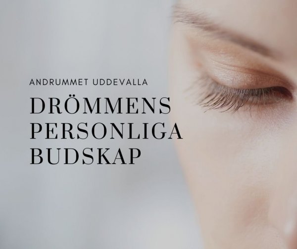Föredrag om drömmar på Andrummet i Uddevalla.