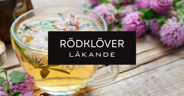 Rödklöver en läkande ört.
