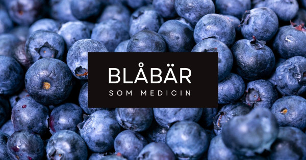 Superfood Blåbär
