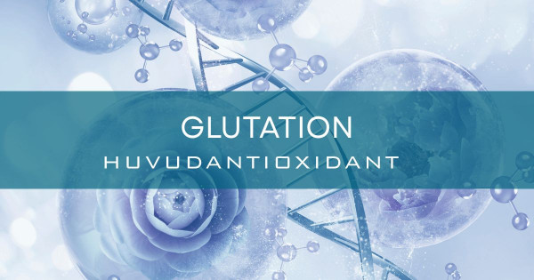 Glutation huvudantioxidant