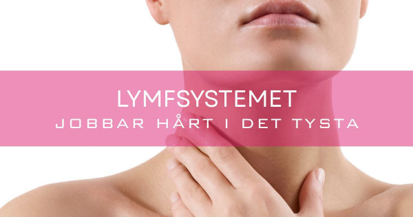 Veta mer om lymfsystemet