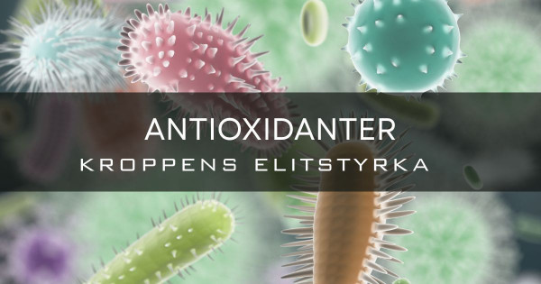 De fem viktigaste antioxidanterna