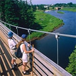 View from Tidnish Suspension Bridge