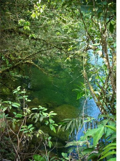 hacienda el paraiso - buga - valle del cauca - palmira valle