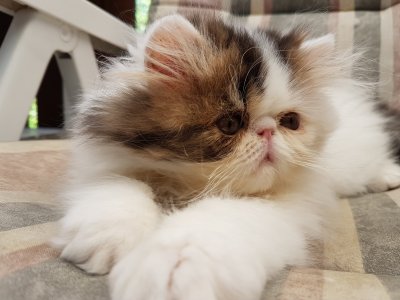 /20160720_101254.jpg