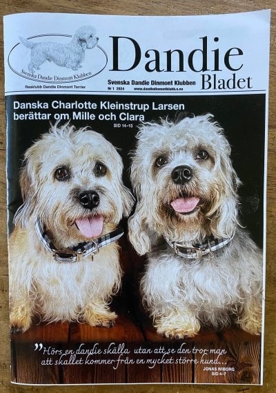 /dandie-blad-1-2024.jpg