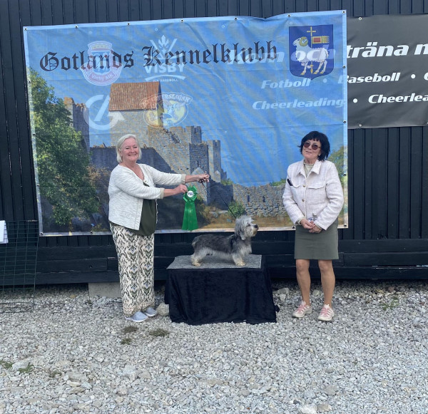/liza-big-4-gotland-31-aug.jpg