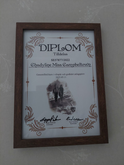 /diplom-l-blannk.jpg