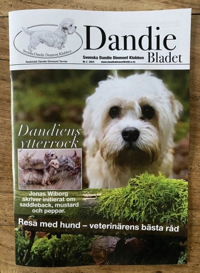 /dandie-blad-2-2024.jpg