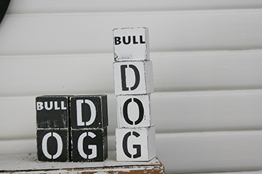 kub-bulldogg.jpg
