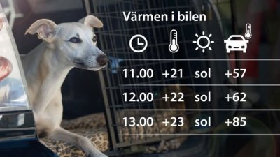 /hundibilsmhi.jpg