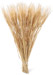 Dried Wheat - Gold Beard - 3 x 8 oz