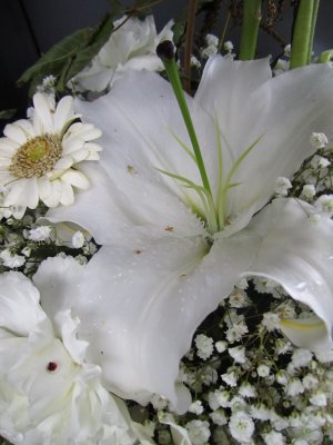blommor-031.jpg