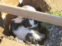 sussas-bilder-006.jpg