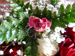blommor-081.jpg
