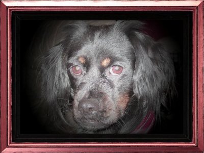 zelda-pizap.jpg