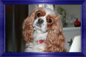 pizap-com13598153165091.jpg