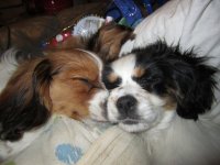 sussas-bilder-011.jpg