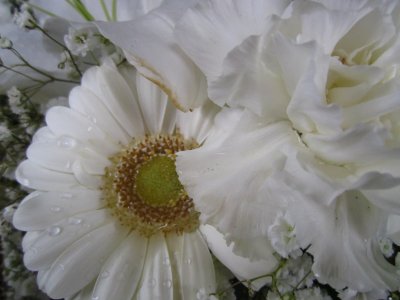 blommor-010.jpg