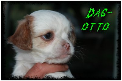 pizap-com13729802412097.jpg