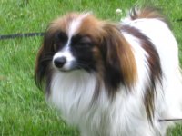 sussas-bilder-035.jpg
