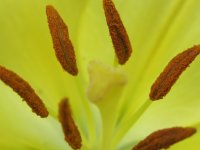 sussas-bilder-lenas-valpar-095.jpg