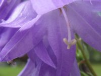 sussas-bilder-lenas-valpar-087.jpg