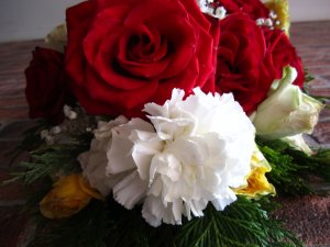 blommor-122.jpg