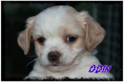 pizap-com13729806329579.jpg