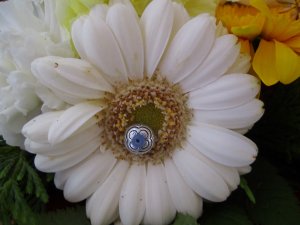blommor-108.jpg