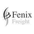 web design for Fenix Freight company in United Kingdom